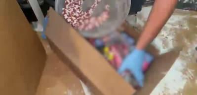 Ankara'da b&uuml;y&uuml;k uyuşturucu operasyonu ger&ccedil;ekleştirildi!