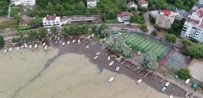 Kastamonu'da selin s&uuml;r&uuml;klediği odunlar denizi kapladı
