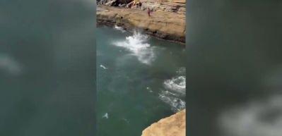 ABD'de deniz keyfi faciayla bitti: 17 Yaşındaki gen&ccedil; u&ccedil;urumdan kayalara &ccedil;akıldı