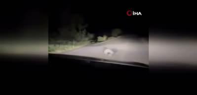  Bing&ouml;l'de porsuğun kirpi avı kamerada