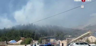Balıkesir'in Sındırgı il&ccedil;esinde ormanlık alandaki yangına m&uuml;dahale