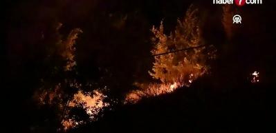 Bitlis'te mezarlıkta &ccedil;ıkan yangın s&ouml;nd&uuml;r&uuml;ld&uuml;