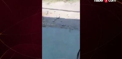 Suriye'de termik santralde meydana gelen patlamada 3 iş&ccedil;i &ouml;ld&uuml;