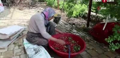 Adana'da kara kazanlarda sağlık deposu kızılcık şerbeti mesaisi başladı