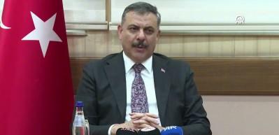 G&uuml;rcistan ve T&uuml;rkiye'nin ortak operasyonunda 22 kişi su&ccedil;lu yakalandı