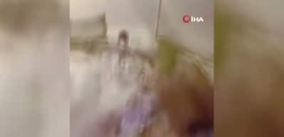 Kardeş kavgası kanlı bitti! Tartıştığı ağabeyine aracıyla &ccedil;arptı 