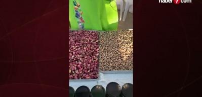 Gaziantep&rsquo;te k&uuml;lt&uuml;r, sanat ve gastronomi ş&ouml;leni d&ouml;rd&uuml;nc&uuml; kez başlıyor!