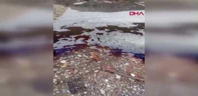 Yalova a&ccedil;ıklarında deniz y&uuml;zeyi kırmızıya boyandı