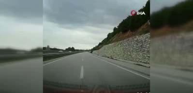 Yola d&uuml;şen geyiğin yardımına koştu