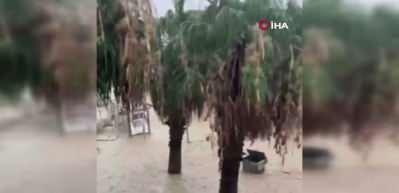 Ceviz b&uuml;y&uuml;kl&uuml;ğ&uuml;ndeki dolu ve şiddetli yağışla birlikte taşan dere sele neden oldu