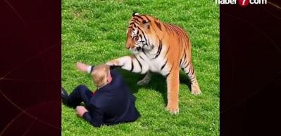 İngiltere'deki vahşeti paylaşıp dalga ge&ccedil;ti: Trump'tan tepki &ccedil;eken kaplan videosu