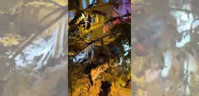Umut &Ouml;zkan&rsquo;ın korku dolu anları! &ldquo;Deprem oluyor zannederek yatağımızdan fırladık&rdquo;