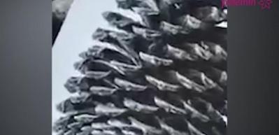 3 boyutlu &ccedil;izim hayran bıraktırdı!