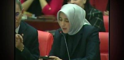 HDP'li vekilin 'baş&ouml;rt&uuml;' &ccedil;ıkışına &Ouml;zlem Zengin'den ders gibi cevap