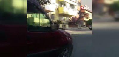 Caddede doılaşan domuz g&ouml;renleri şaşkına &ccedil;evirdi!