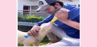 Bir zamanlar &Ccedil;ukurova oyuncusu Murat Ünalmış elleriyle kuzu besledi!