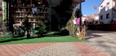 Eğitimli k&ouml;pek 'R&uuml;zgar'dan en anlamlı Kadınlar G&uuml;n&uuml; kutlaması