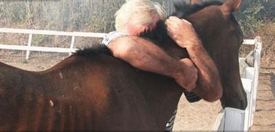 Kalan tek atına sarılarak g&ouml;zyaşı d&ouml;kt&uuml;