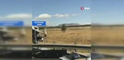 ABD&rsquo;de &Ccedil;inli turistleri taşıyan otob&uuml;s kaza yaptı