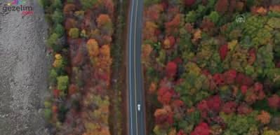 ABD'nin New Hampshire eyaletinde sonbahar manzaraları