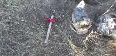 Adana'da bombacı hainler tutuklandı! Şehri kana bulayacaklardı