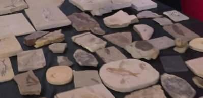 Adnan Oktar'ın evinden &ccedil;ıkanlar şoke etti! Milyon dolar değerinde