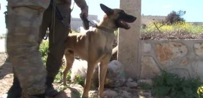 Afrin'de bombalı tuzaklara g&ouml;z a&ccedil;tırılmıyor