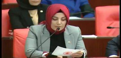 AK Partili vekil CHP'nin adayına adeta ders verdi!