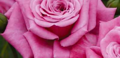 Allah&uuml;mme Barik duasının Arap&ccedil;a okunuşu