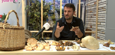Amat&ouml;r Mantar Dostu Naim G&uuml;le&ccedil; mantar toplarken dikkat edilmesi gerekenleri anlattı!