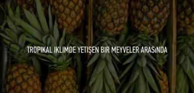 Ananas nasıl soyulur? Ananası soymanın y&ouml;ntemleri nelerdir?