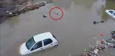 Anne k&ouml;peğin b&uuml;y&uuml;k fedakarlığı