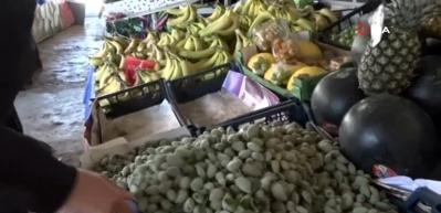 Antalya'da &ccedil;ağla sezonu a&ccedil;ıldı
