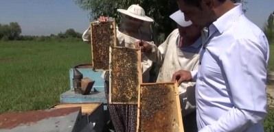 ''Arıcı değil, aracı kazanıyor''