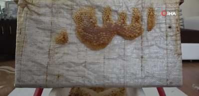 Arılar petek i&ccedil;ine &lsquo;Allah&rsquo; lafzı işledi!