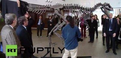 Arjantin'de 90 milyon yıllık dinozor