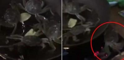 Arkadaşlarını kızartma tavasından kurtaran yenge&ccedil; 
