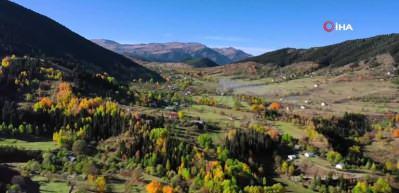 Artvin&rsquo;de masalsı sonbahar manzaraları
