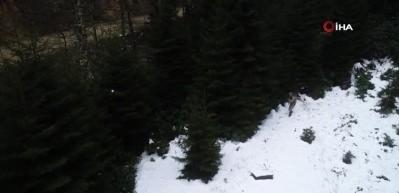 Asker &lsquo;Kawa&rsquo; ve &lsquo;Aras&rsquo;'ın peşinde!