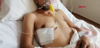 Ayıyı da koronavir&uuml;s&uuml; de yendi