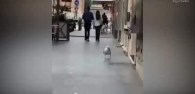 Azerbaycan'da T&uuml;rk Bayrağı yakmaya &ccedil;alışırsanız ne olur? (1 Temmuz Bi Acayip Haberler)