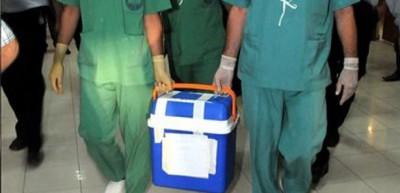 K&uuml;&ccedil;&uuml;k G&uuml;lbeyaz &ouml;lmemek i&ccedil;in nakil bekliyor