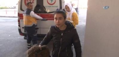 Baba, hamile eşini darp etti, kızı gazetecilere saldırdı