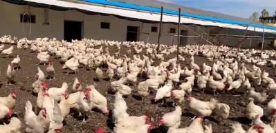 Bakan a&ccedil;ıkladı! T&uuml;rkiye'den &Ccedil;in'e ilk kez başladı