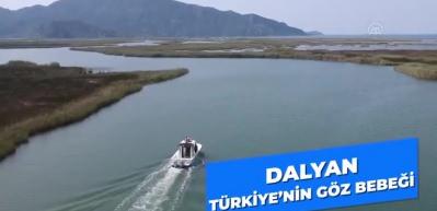 Bakan Kurum'u isyan ettiren g&ouml;r&uuml;nt&uuml;: İ&ccedil;imizi acıttı