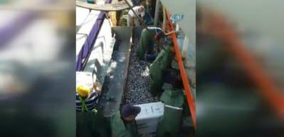 Balık&ccedil;ıların ilk avında istavrit bereketi