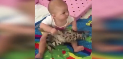 Bebeğin elinde şaşkına d&ouml;nen kedi