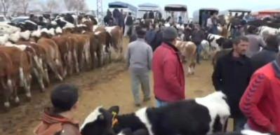 Besiciler dolarları ateşe verdi