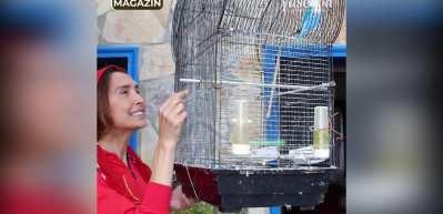 Bilun Dohmen'in başına gelmeyen kalmadı ağlayarak terk etti...