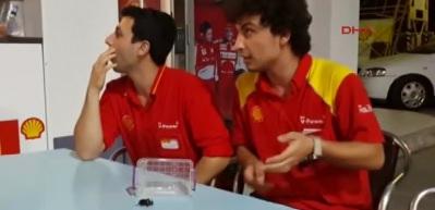 Bir gergedan b&ouml;ceği de G&ouml;lc&uuml;k'te bulundu